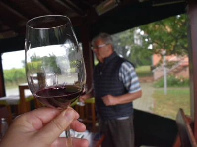 Vinogorje Erdut