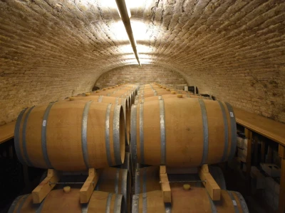 Vinogorje Erdut