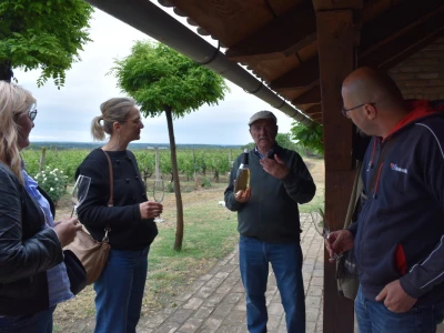 Vinogorje Erdut