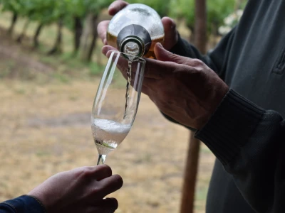 Vinogorje Erdut