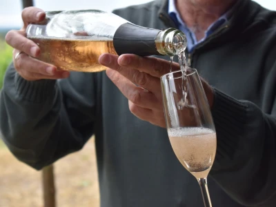 Vinogorje Erdut