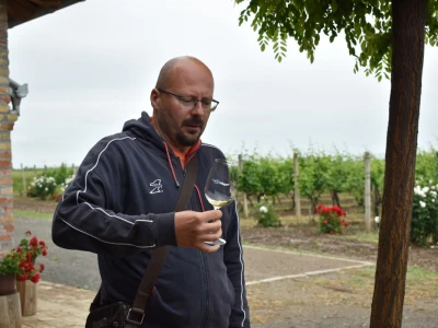 Vinogorje Erdut
