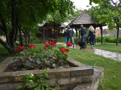Vinogorje Erdut