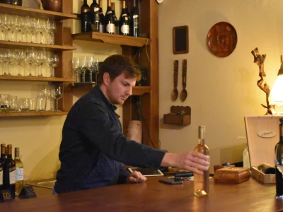 Vinogorje Erdut
