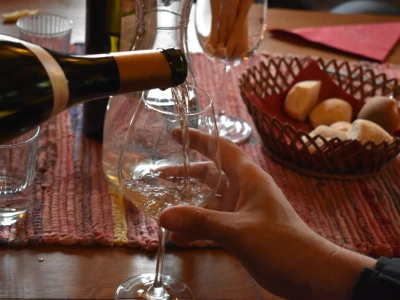 Vinogorje Erdut
