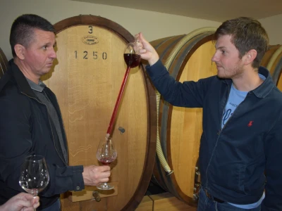 Vinogorje Erdut