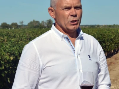 VINOGRADARSKI POLOŽAJ - Otkrivena tajna Nadinskog blata!