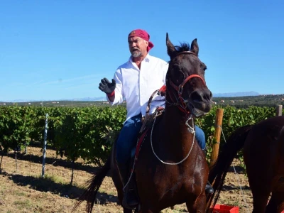 VINOGRADARSKI POLOŽAJ - Otkrivena tajna Nadinskog blata!