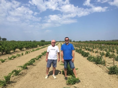 VINOGRADARSKI POLOŽAJ - Otkrivena tajna Nadinskog blata!