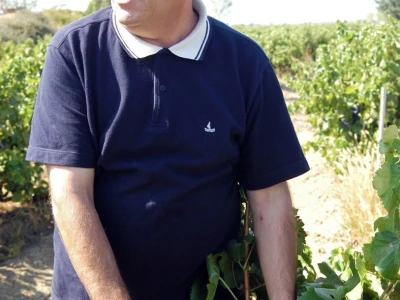 VINOGRADARSKI POLOŽAJ - Otkrivena tajna Nadinskog blata!