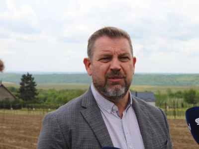 Vinogradarstvo