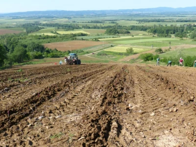 Vinogradarstvo i vinarstvo Krauthaker