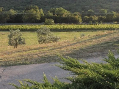 Vinska kuća Pavlomir
