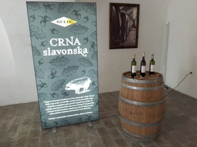 Vinska regija