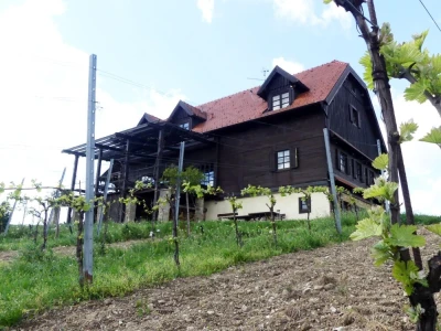 Vinski vikend u Zagorju