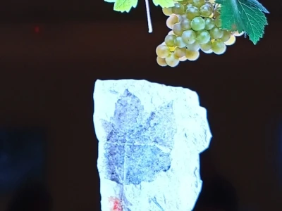Vinski vikend u Zagorju