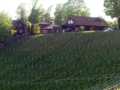 Vinski vikend u Zagorju