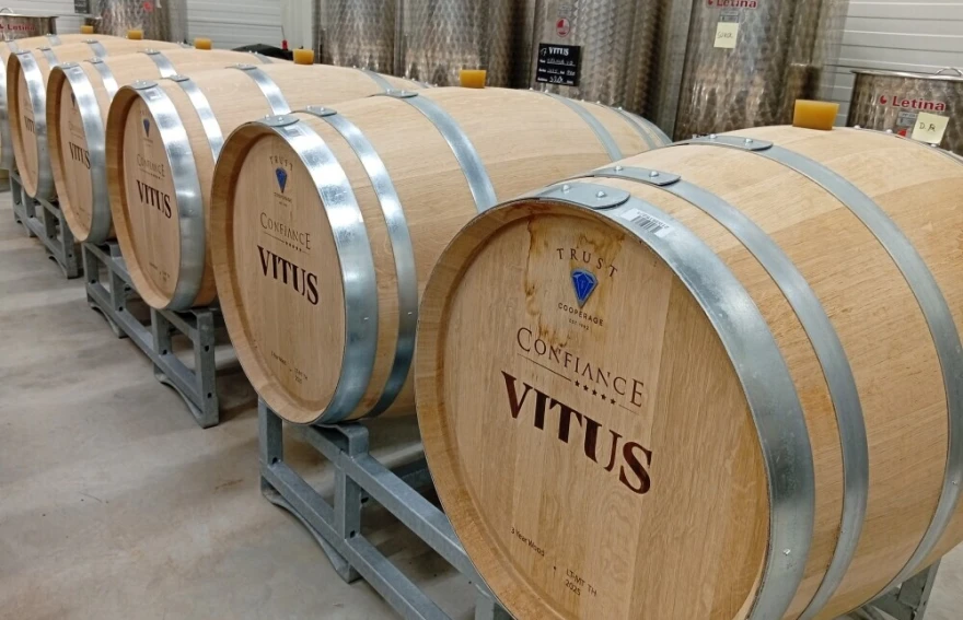 fotka vitus