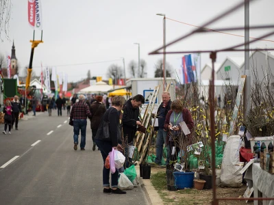 Viroexpo 2018