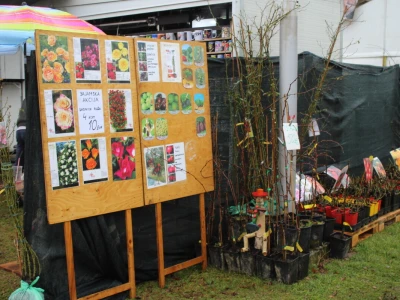 Viroexpo 2025