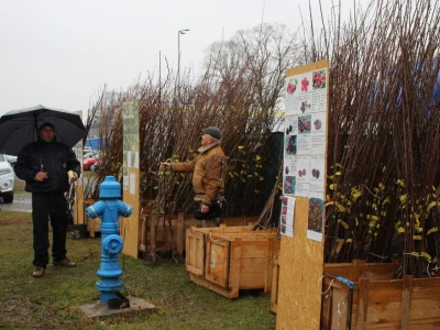 Viroexpo 2025