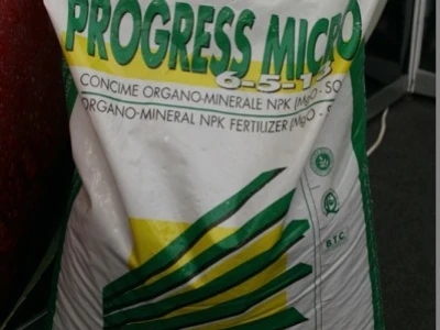 Progress Micro