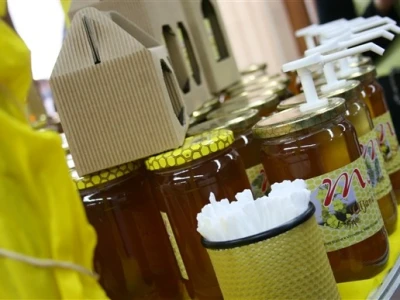Viroexpo 2013.