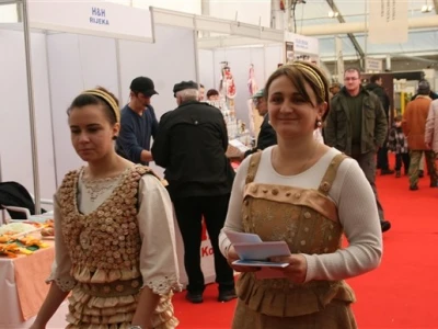 Viroexpo 2013.