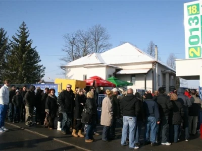 Viroexpo 2013.
