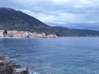 Vis