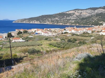 Vis