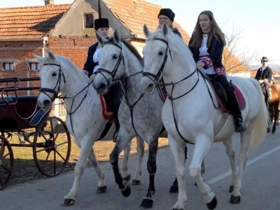 Vješte jahačice na lipicanerima u našoj pitomoj ravnoj Slavoniji