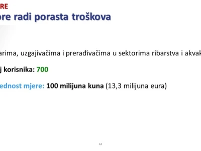 Vlada i mjere