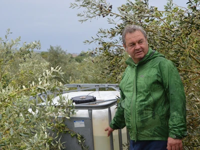 Maslinar Dr. Ivica Vlatković