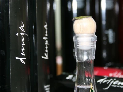 Voćarski sajam Donji Kraljevec 2008