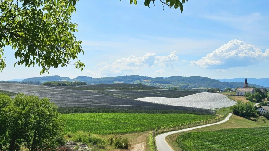 nasad slovenija