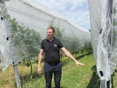 Voćarsko-vinogradarsko poljoprivredno gospodarstvo Karlovček