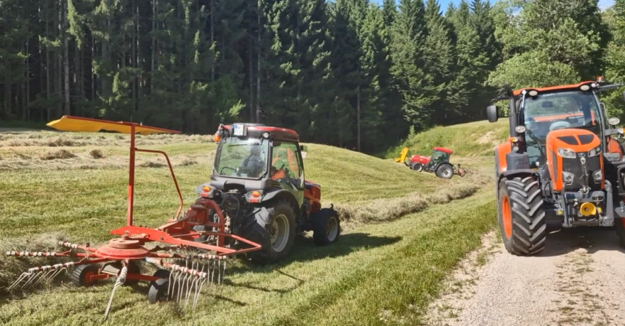 polje gore