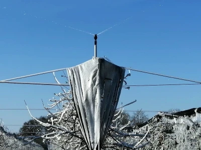Voćnjak Marka Kudeca u ledu