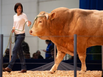 Vodeći sajam za animalnu proizvodnju - EuroTier u Hannoveru