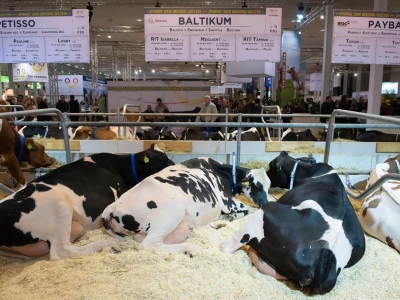Vodeći sajam za animalnu proizvodnju - EuroTier u Hannoveru