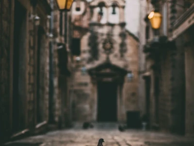 Volim svoju županiju