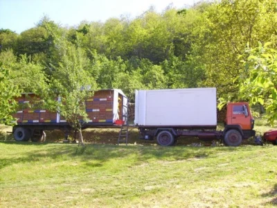 Najveće pčelinje gospodarstvo u Hrvatskoj