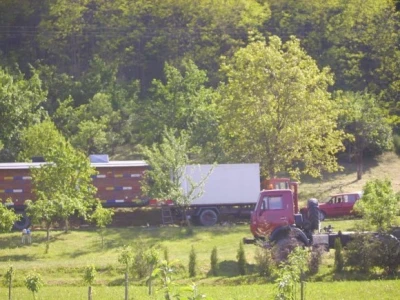 Najveće pčelinje gospodarstvo u Hrvatskoj