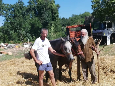 Vršidba u Zagvozdu