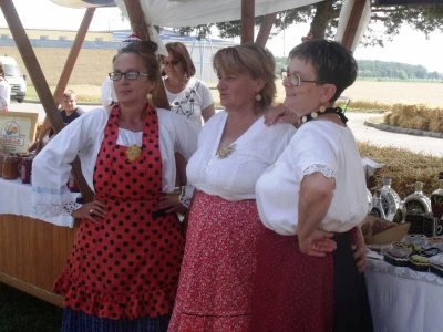 Žetva i vršidba u prošlosti