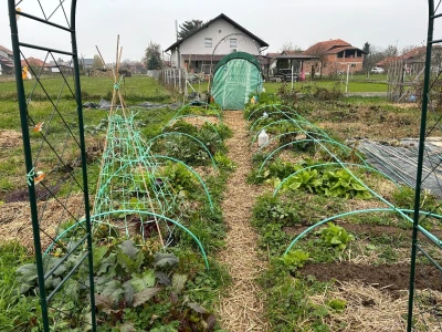 Vrtovi breza
