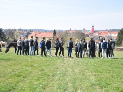 VUK - aktivnosti