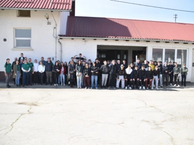 VUK - aktivnosti