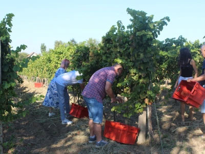 Wine & Bike Tour Erdut